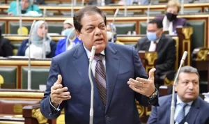 محمد أبو العنين