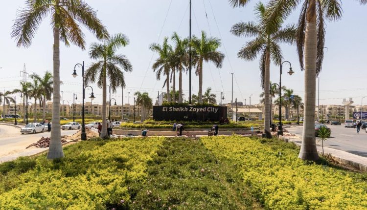 زراعة وتشجير المسطحات الخضراء  