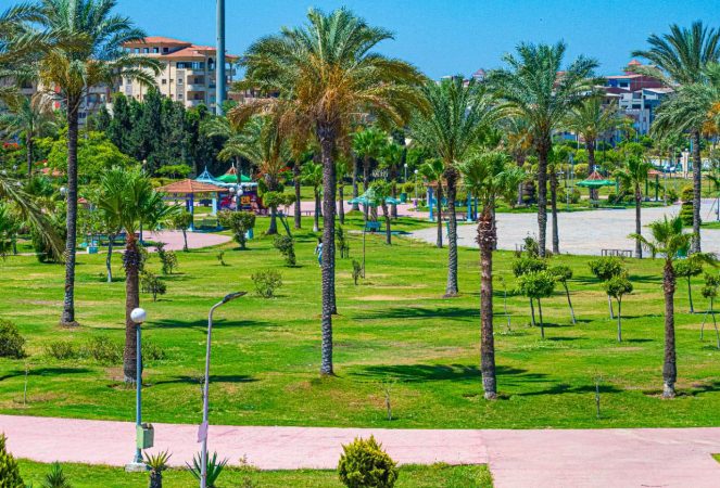 مسطحات خضراء بدمياط الجديدة