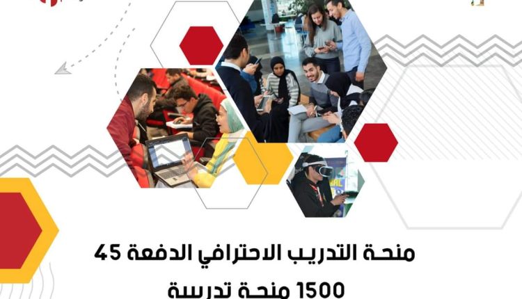 منحة التدريب الاحترافي ITI