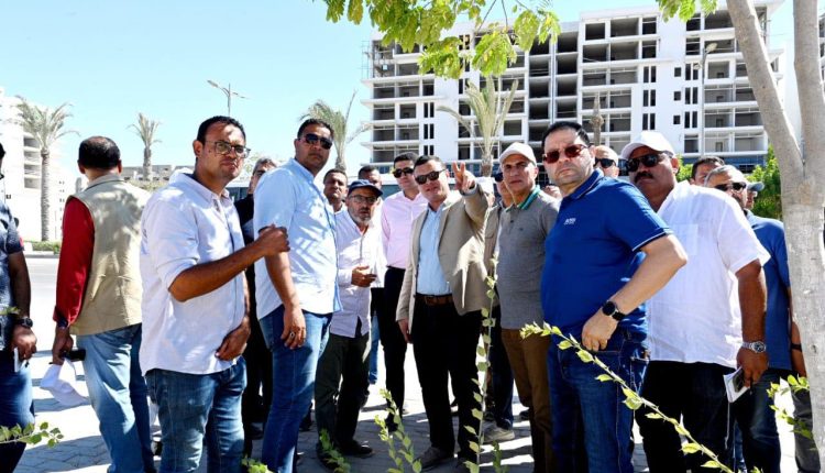 مشروعات العلمين الجديدة  