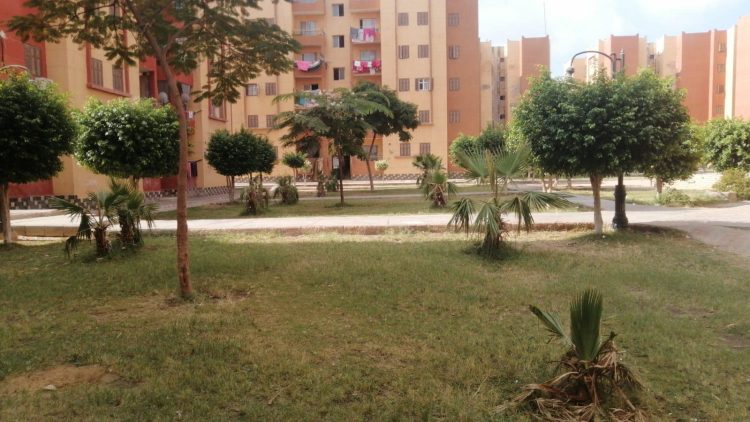رفع كفاءة المسطحات الخضراء بالمدن الجديدة