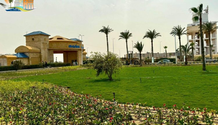 رفع كفاءة المسطحات الخضراء بمارينا