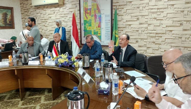 مزاد النوبارية 