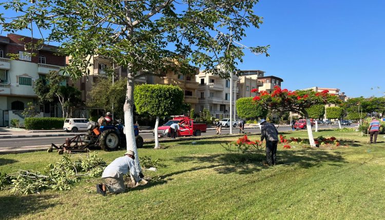 مدينة دمياط الجديدة