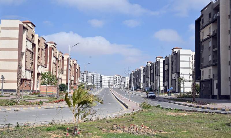 زهرة العاصمة
