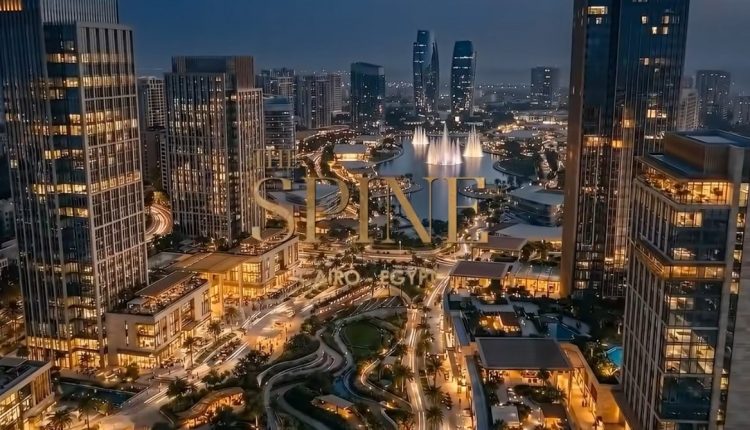 مشروع ذا سباين
