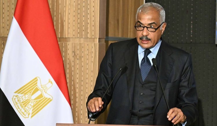 هشام طلعت مصطفى